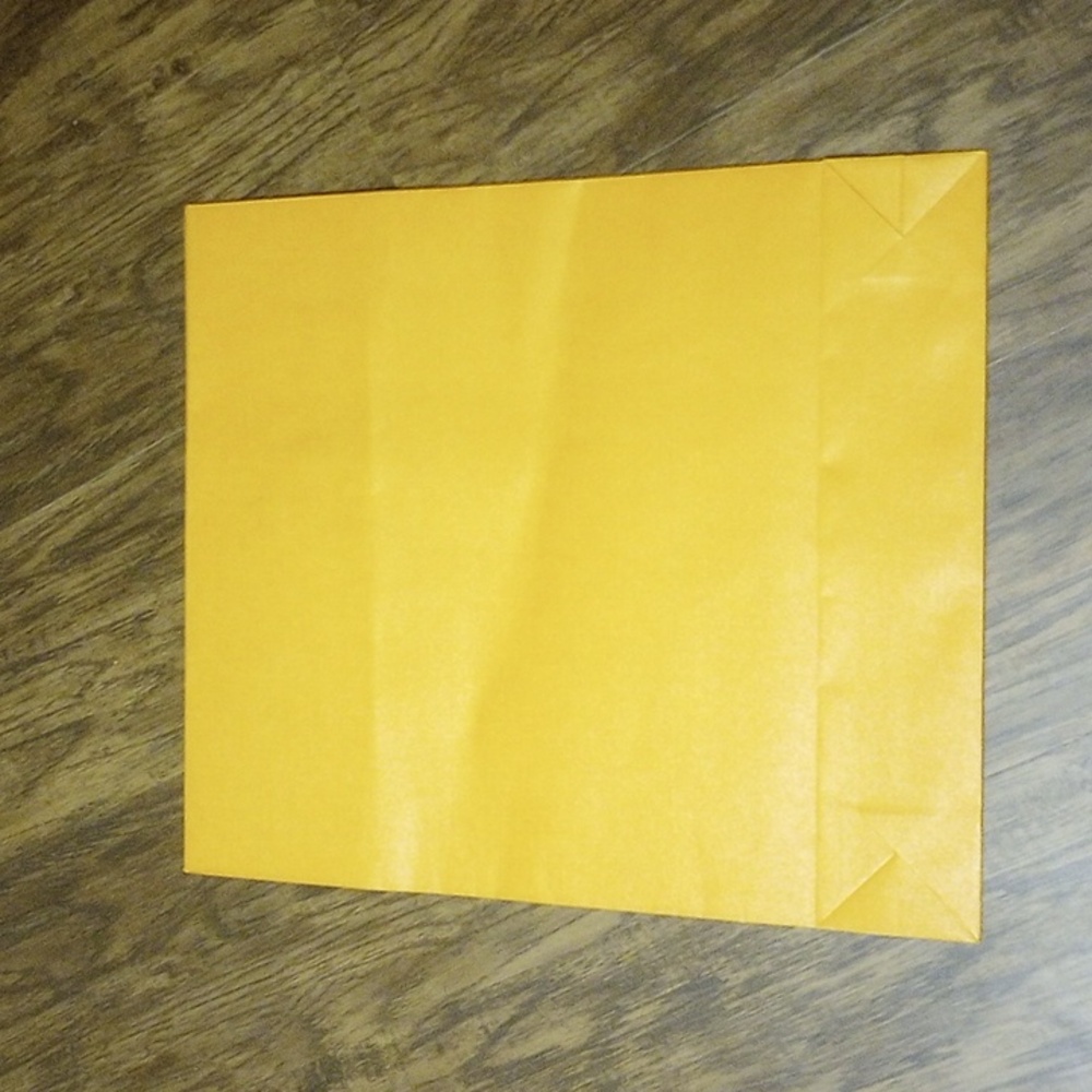 Louis Vuitton Gift Bag - Picture 5 of 8
